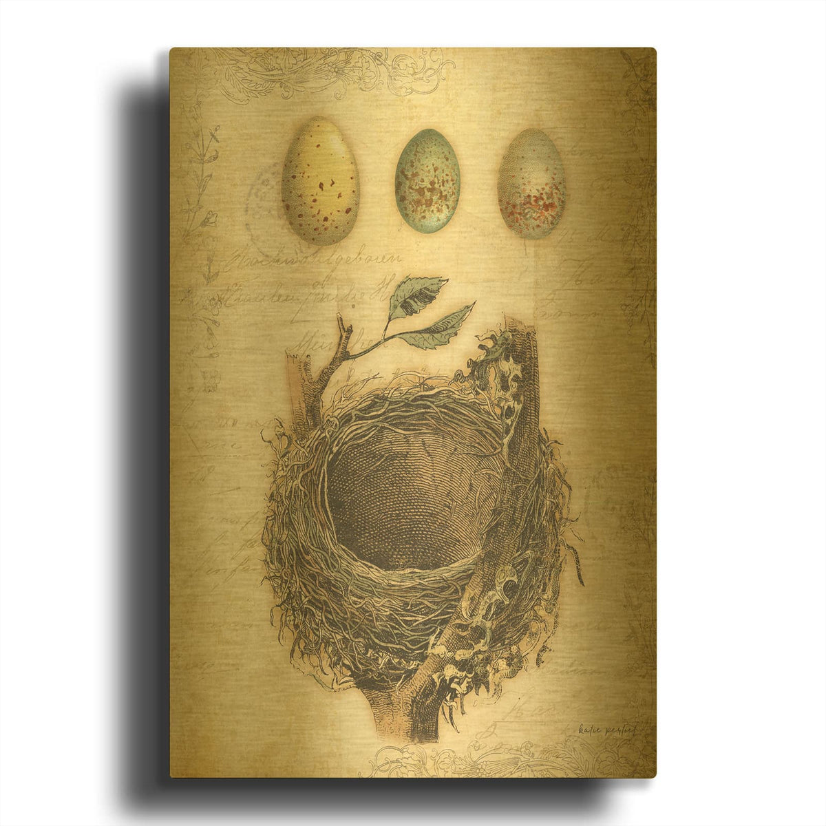 'Spring Nests 1' By Katie Pertiet Gold Metal Wall Art
