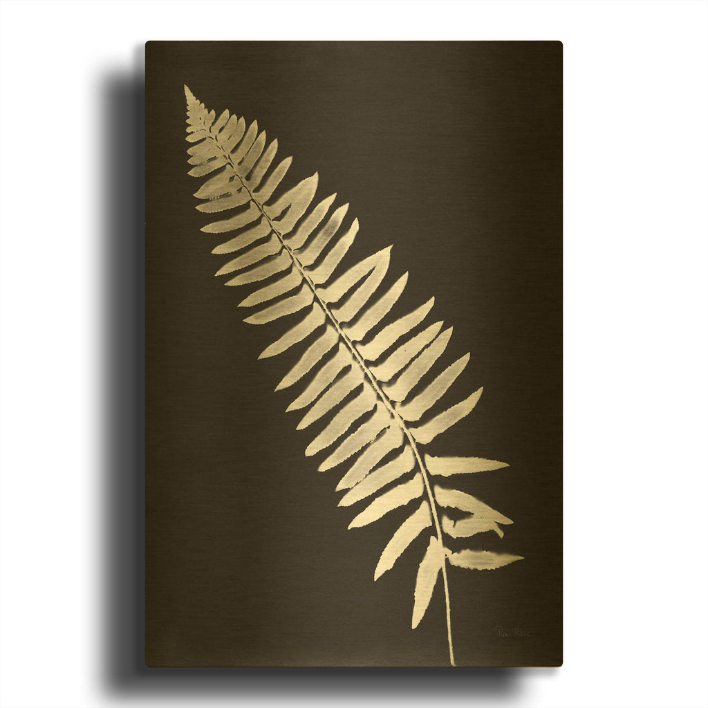 'Nature by the Lake Ferns 4 Black' By Piper Rhue Gold Metal Wall Art