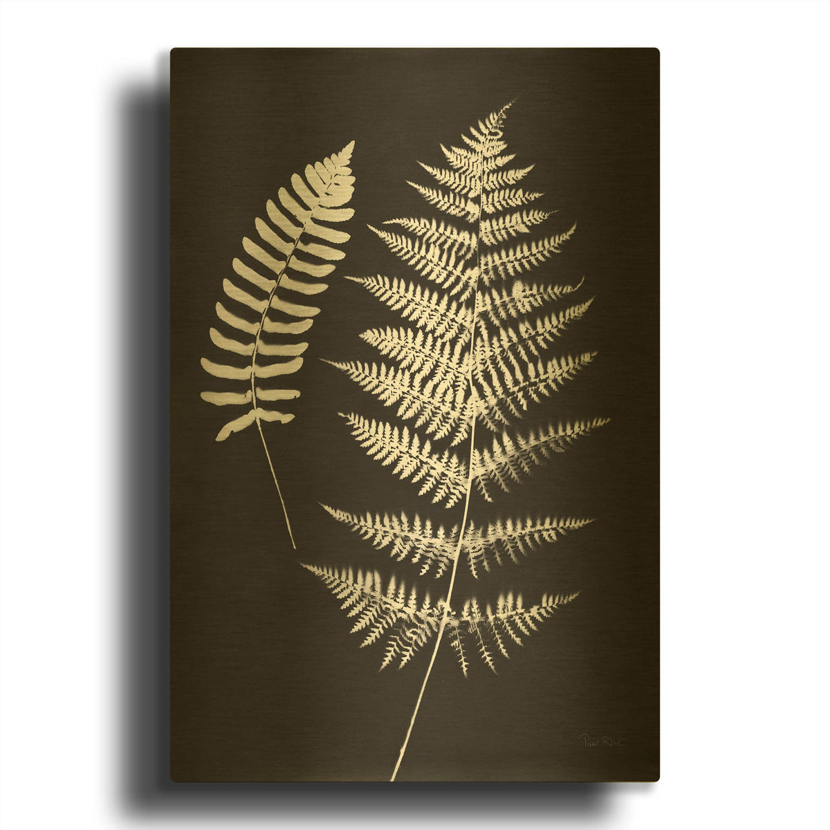 'Nature by the Lake Ferns 5 Black' By Piper Rhue Gold Metal Wall Art