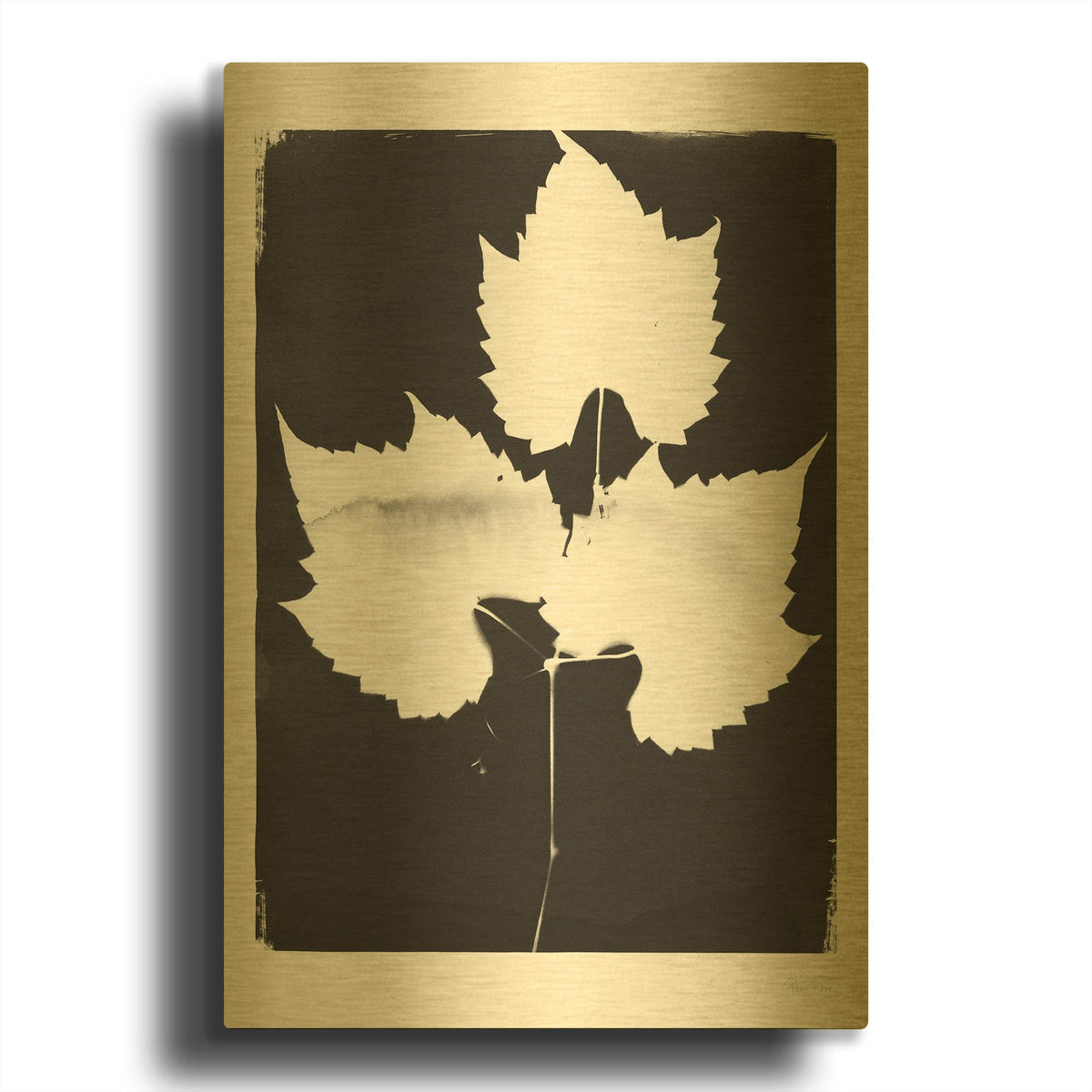'Nature by the Lake Leaves 1 Black' By Piper Rhue Gold Metal Wall Art