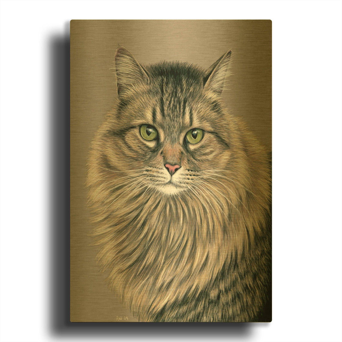 'Brown Tabby Siberian Cat' By Rebecca Wang Art Gold Metal Wall Art