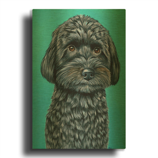 'Cute Schnoodle On Teal' By Rebecca Wang Art Gold Metal Wall Art