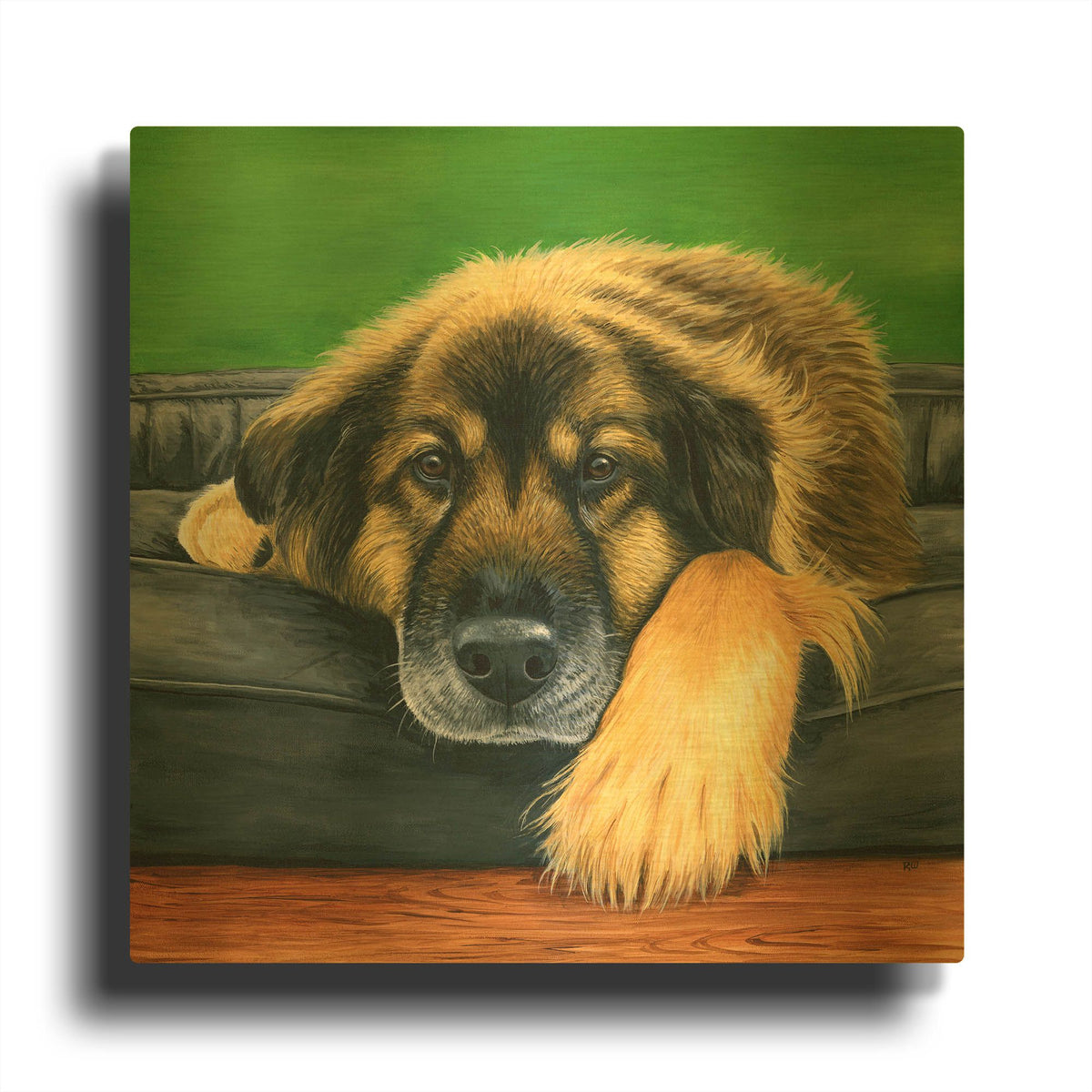 'Cute Shepherd Mix Dog' By Rebecca Wang Art Gold Metal Wall Art