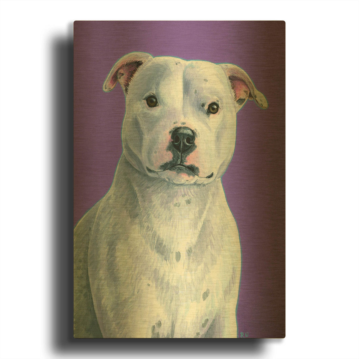'White Staffordshire Bull Terrier Dog On Purple' By Rebecca Wang Art Gold Metal Wall Art