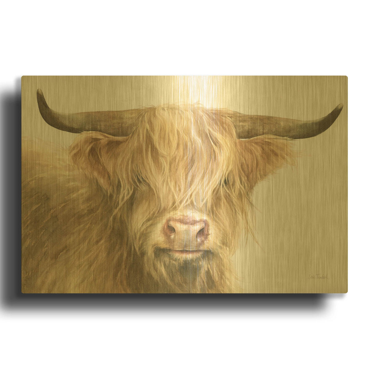 'Shetland Cow' By Leslie Trimbach Gold Metal Wall Art