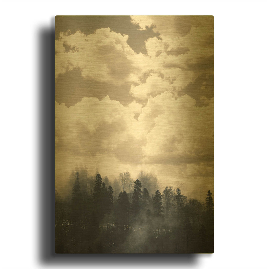 'Fog 1' By Decent Exposures Gold Metal Wall Art
