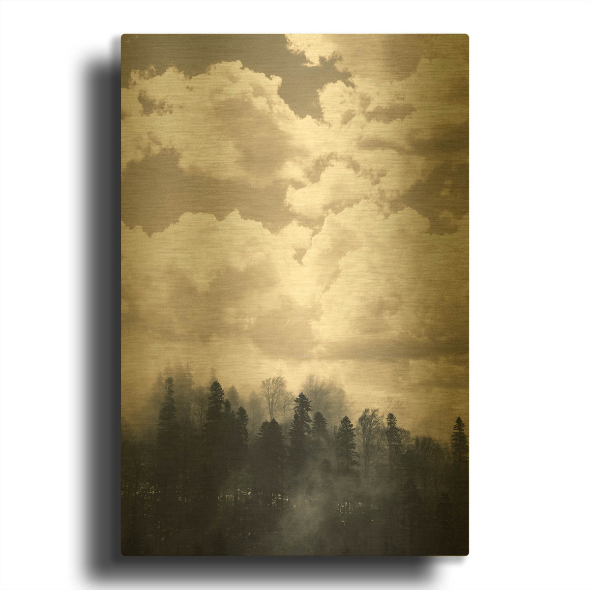 'Fog 1' By Decent Exposures Gold Metal Wall Art
