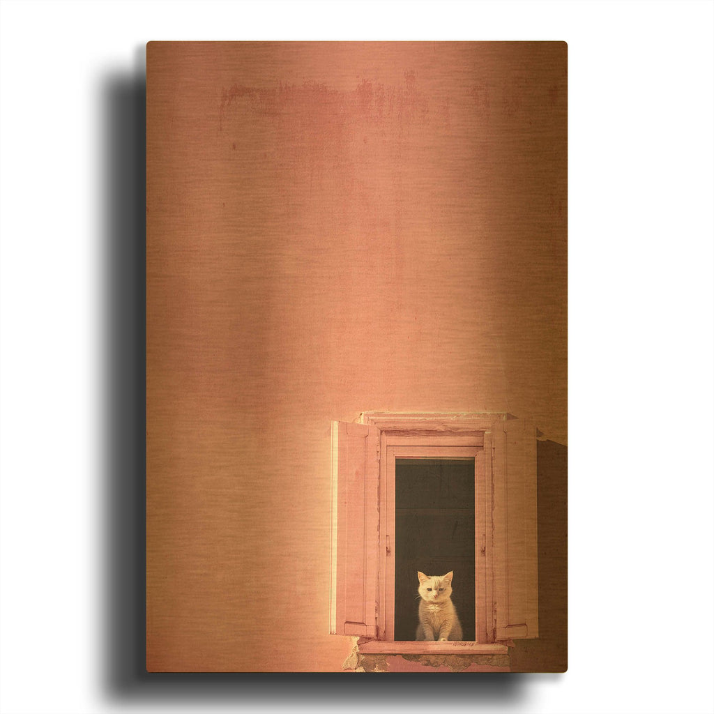 'Guardian of the Pink' By Decent Exposures Gold Metal Wall Art