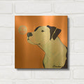 'Fascination' By Pat Saunders-White Gold Metal Wall Art