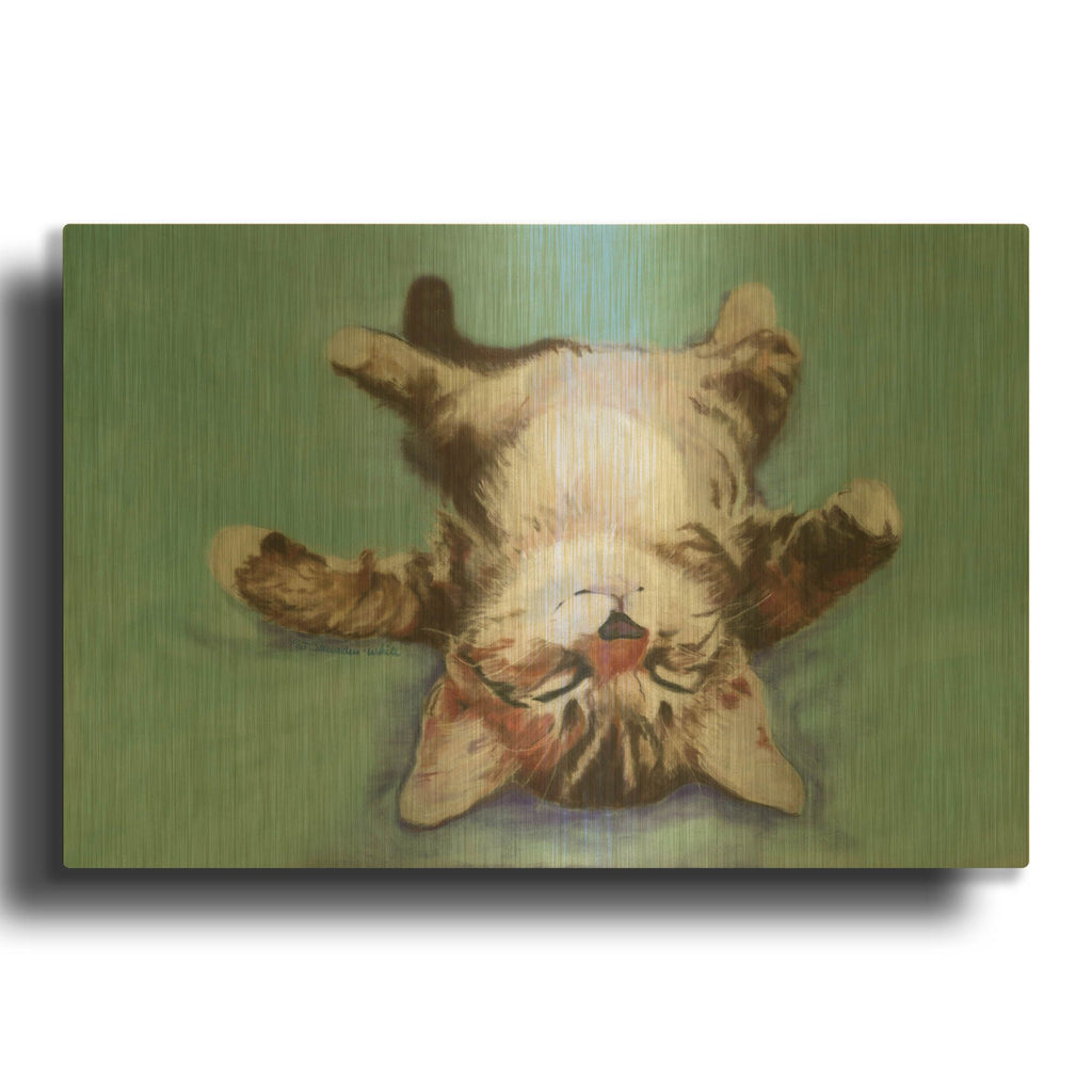 'Little Napper' By Pat Saunders-White Gold Metal Wall Art