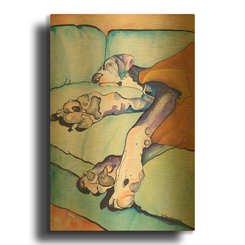 'Sweet Sleep' By Pat Saunders-White Gold Metal Wall Art