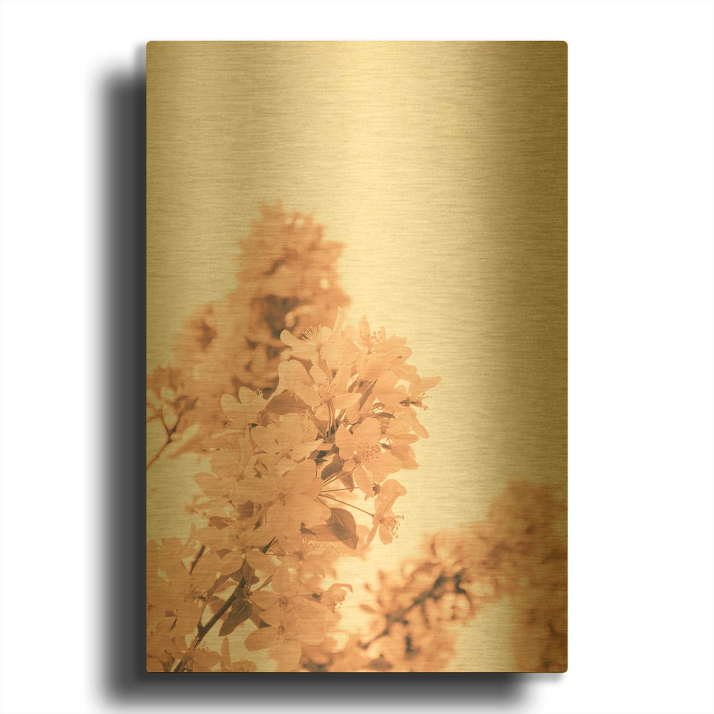 'Blossom Tree Peach Fuzz 2' By Life BeautifuLEE Gold Metal Wall Art