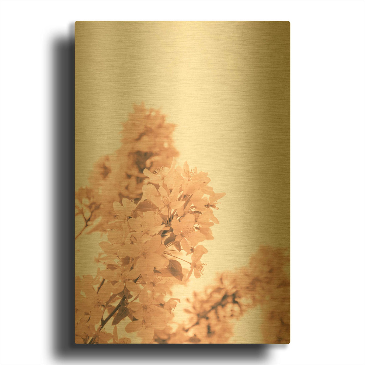 'Blossom Tree Peach Fuzz 2' By Life BeautifuLEE Gold Metal Wall Art