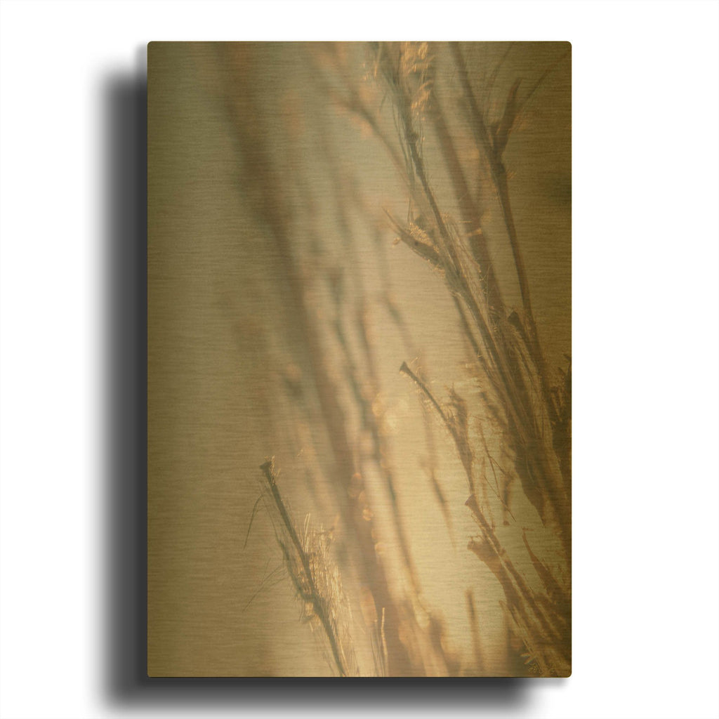 'Brown Glow 3' By Life BeautifuLEE Gold Metal Wall Art
