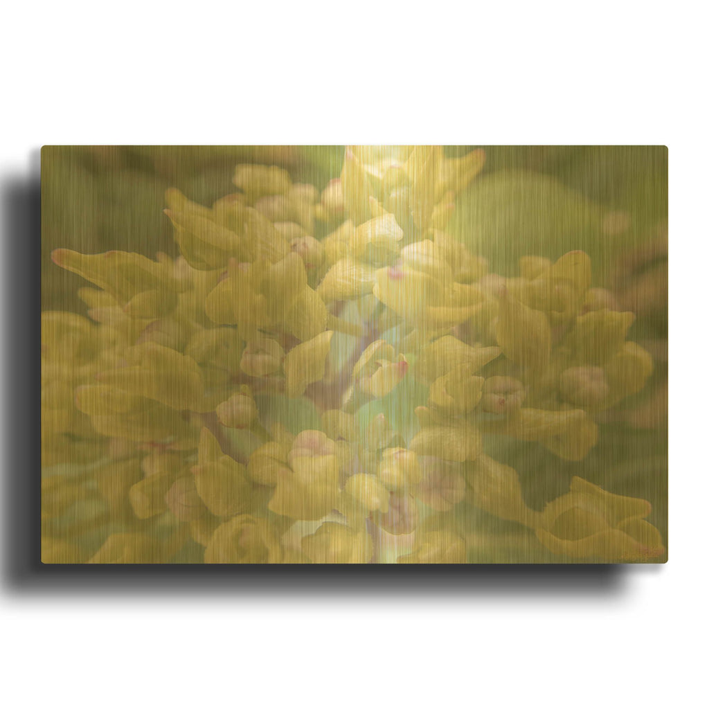 'Buds' By Life BeautifuLEE Gold Metal Wall Art