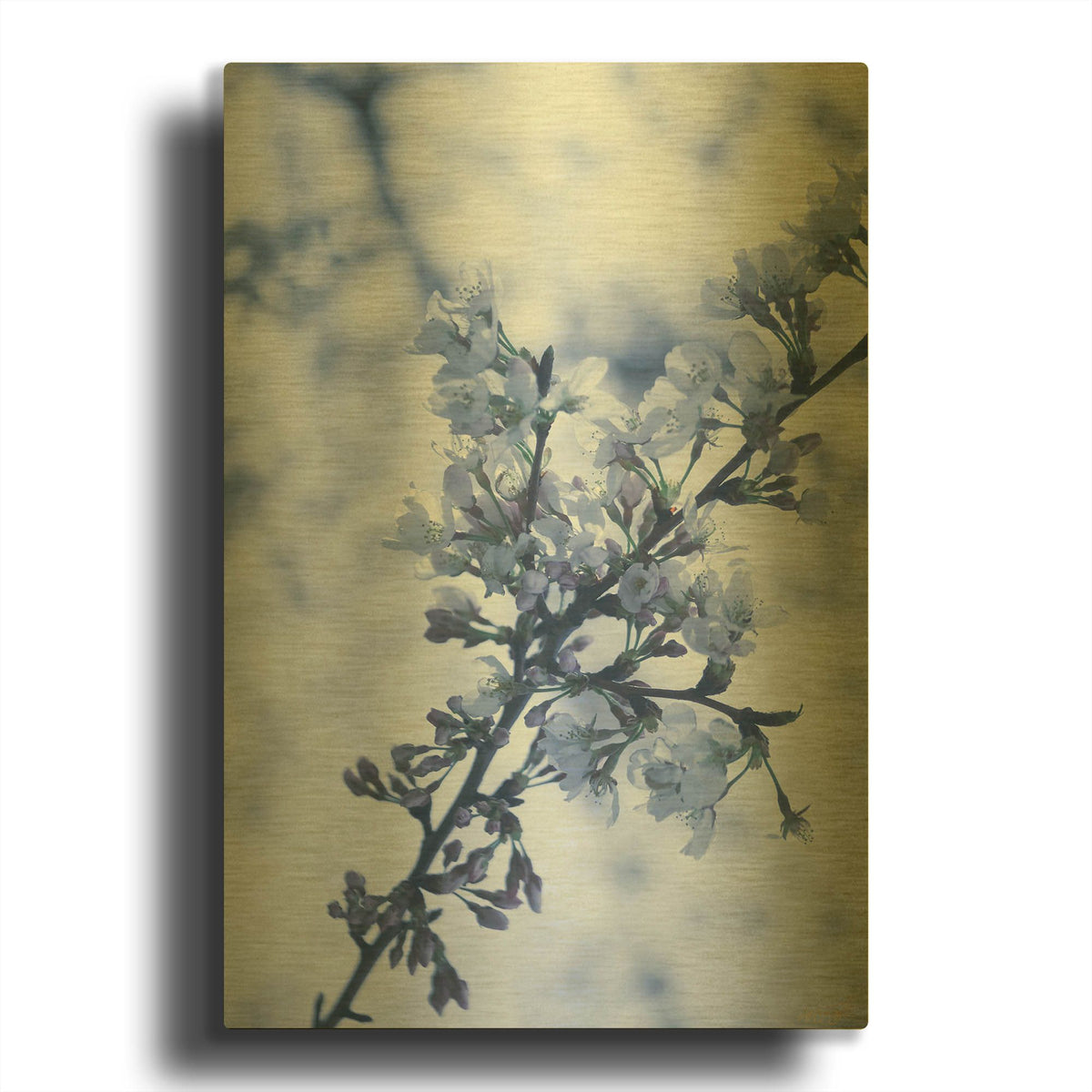 'Cherry Blossom Heaven 7' By Life BeautifuLEE Gold Metal Wall Art
