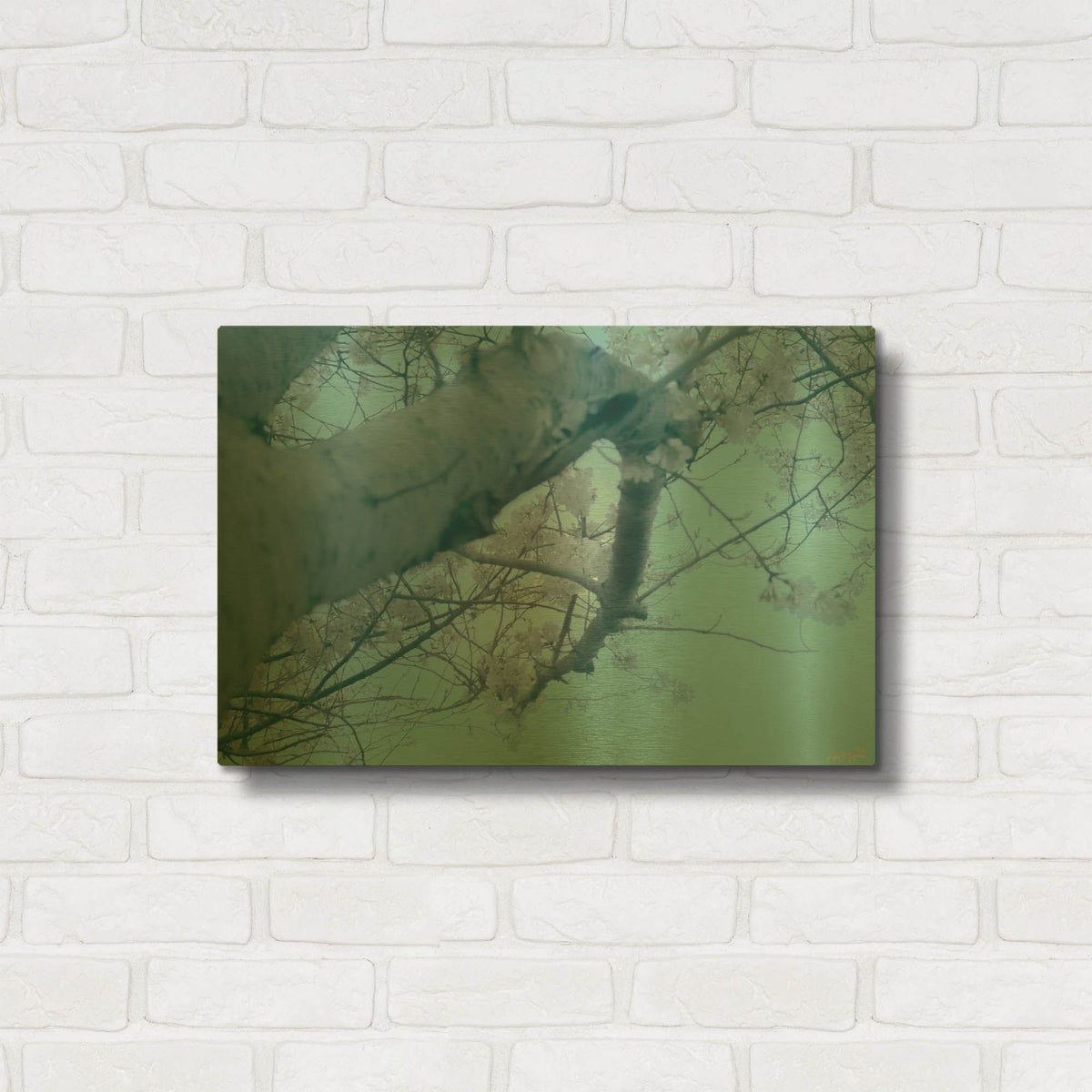 'Cherry Blossom Look Up' By Life BeautifuLEE Gold Metal Wall Art