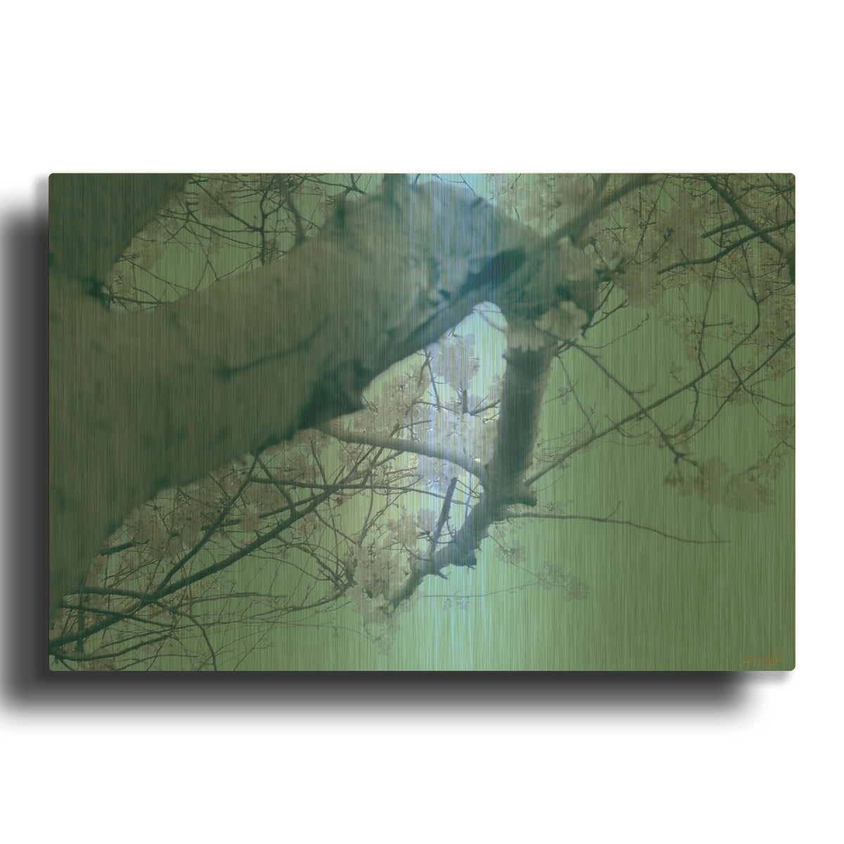 'Cherry Blossom Look Up' By Life BeautifuLEE Gold Metal Wall Art