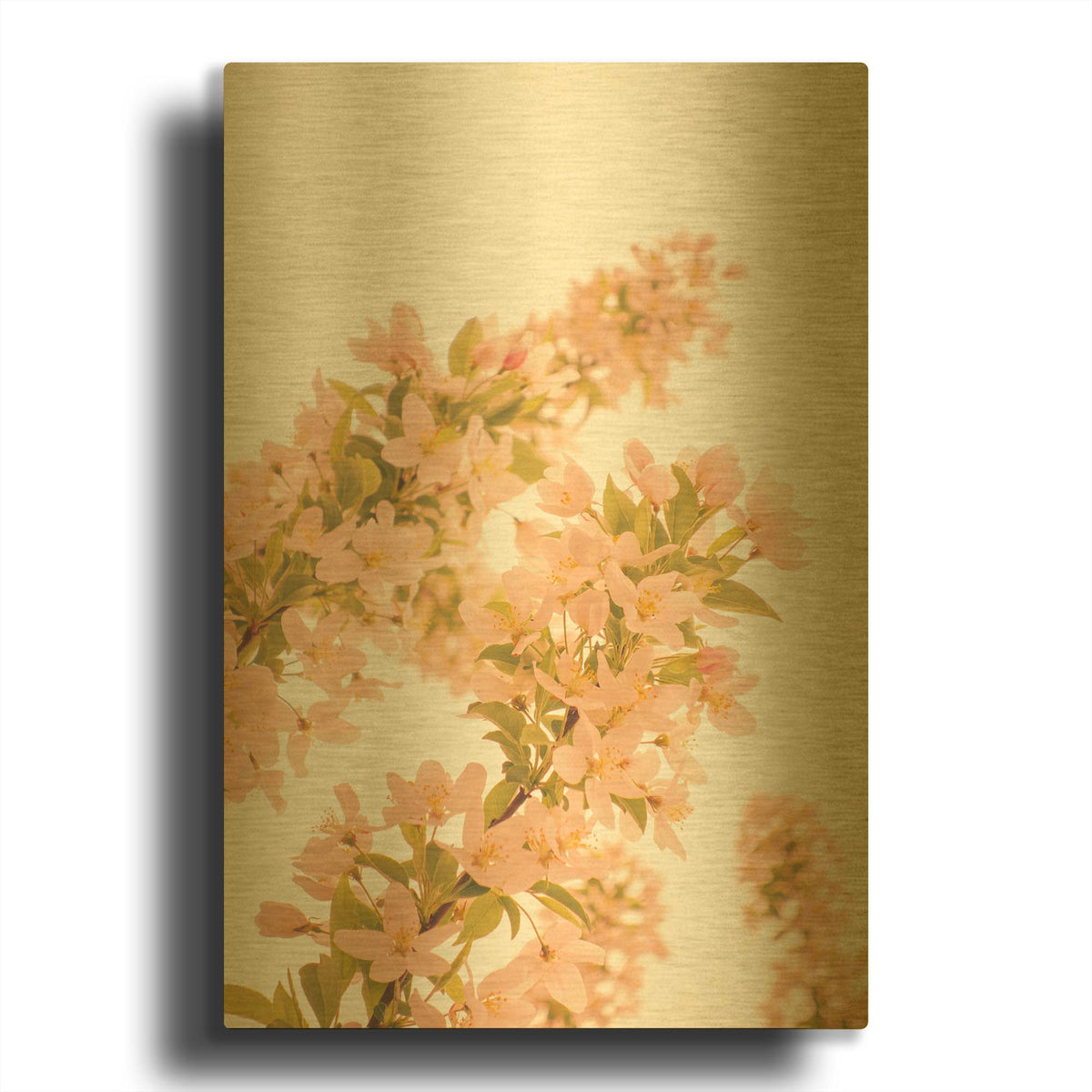 'Cherry Blossom Peach Fuzz 2' By Life BeautifuLEE Gold Metal Wall Art