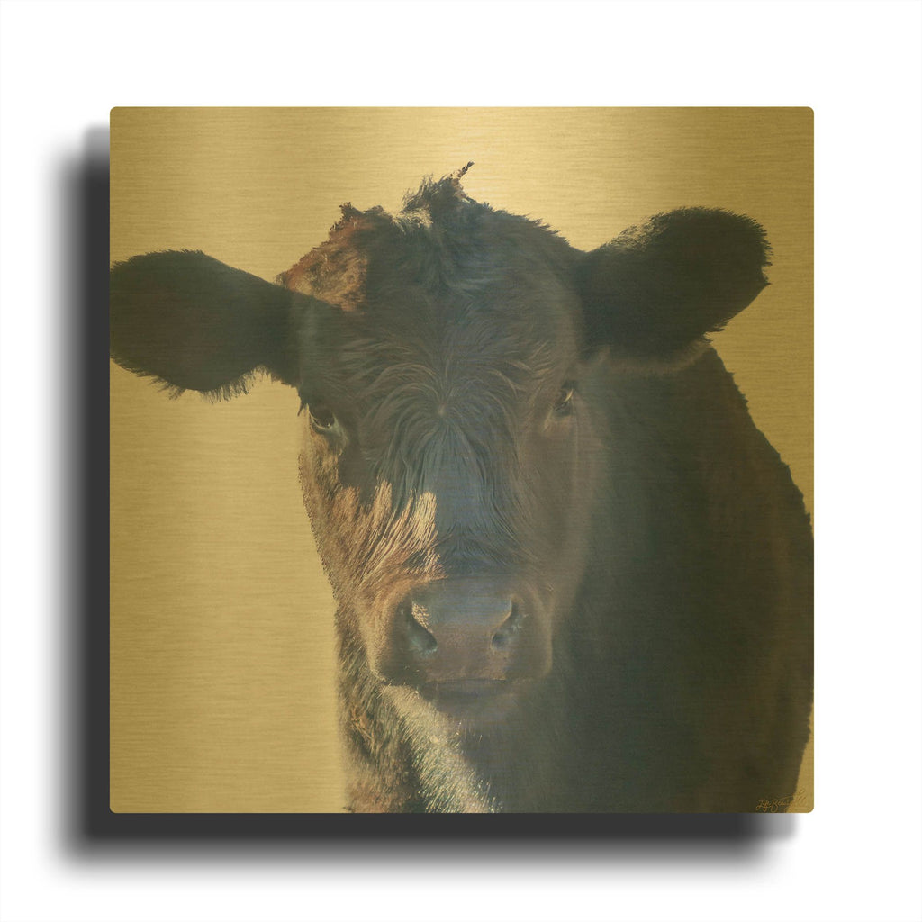'Cow Closer Looking' By Life BeautifuLEE Gold Metal Wall Art