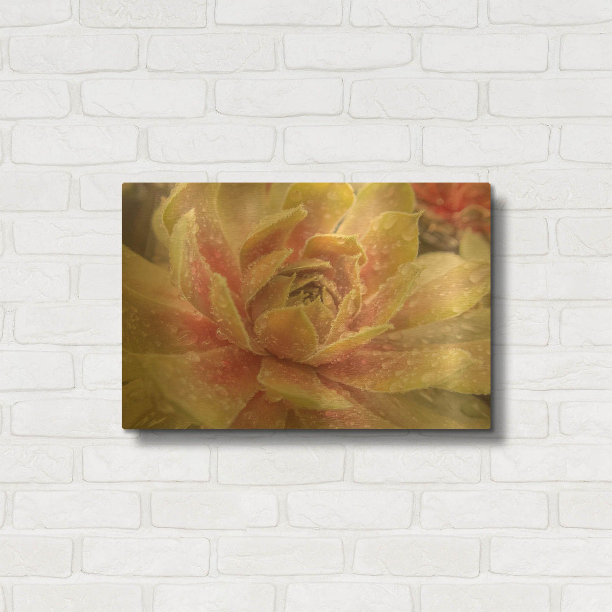 'Droplet of the Desert 1' By Life BeautifuLEE Gold Metal Wall Art