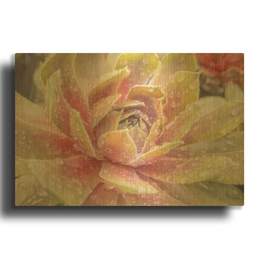 'Droplet of the Desert 1' By Life BeautifuLEE Gold Metal Wall Art