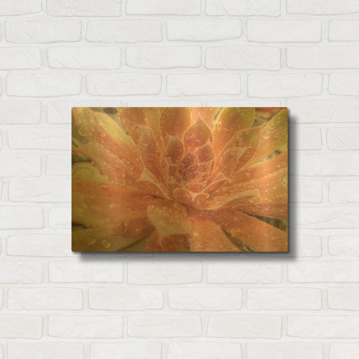 'Droplet of the Desert 2' By Life BeautifuLEE Gold Metal Wall Art