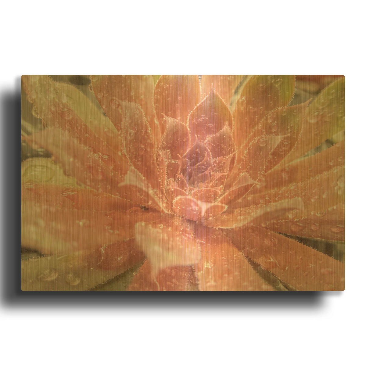 'Droplet of the Desert 2' By Life BeautifuLEE Gold Metal Wall Art