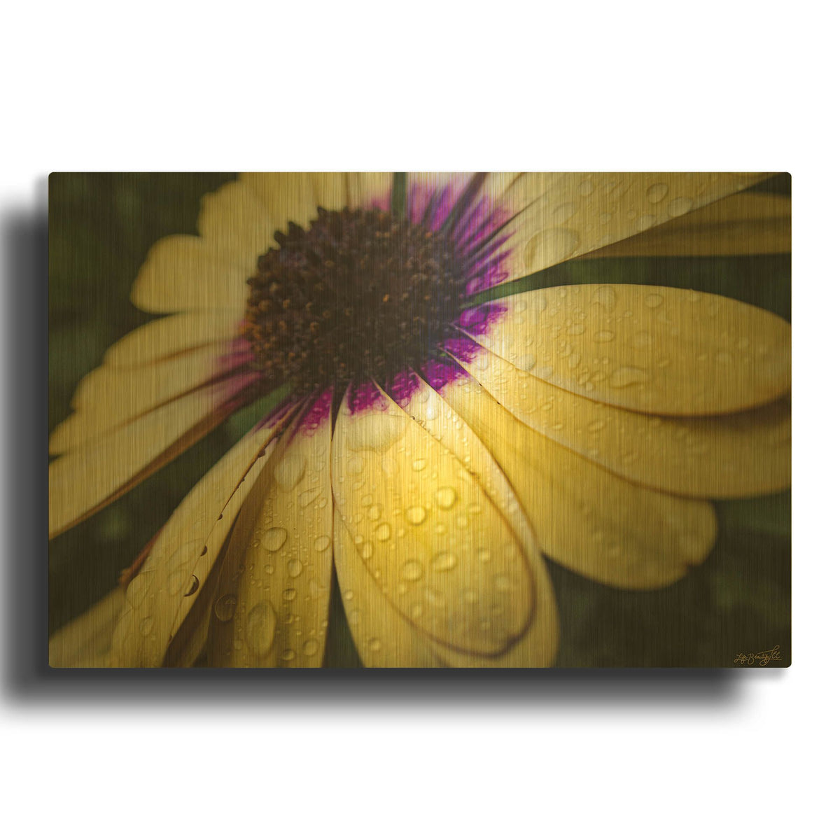 'Droplet of the Flower 2' By Life BeautifuLEE Gold Metal Wall Art
