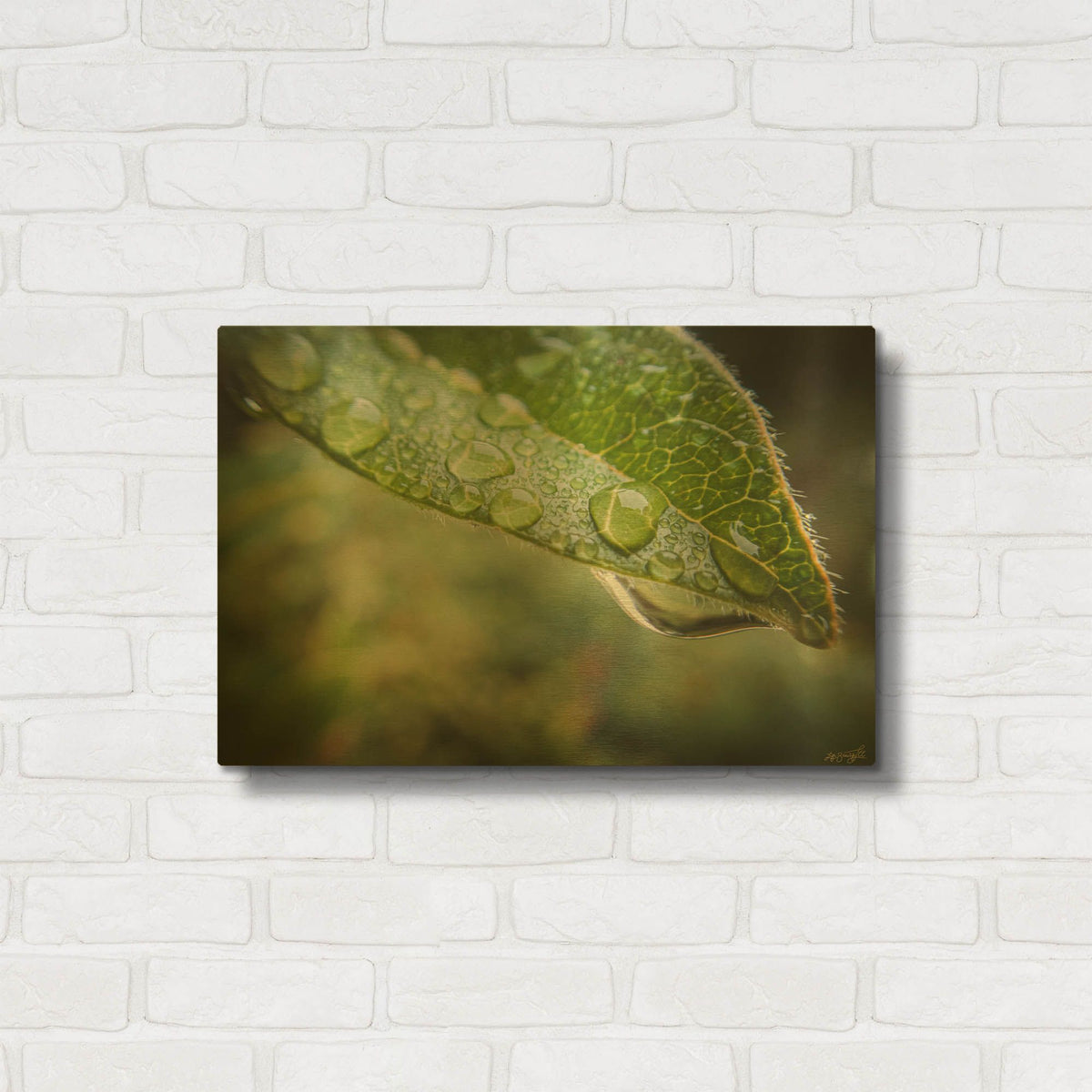 'Droplet of the Leaf 1' By Life BeautifuLEE Gold Metal Wall Art