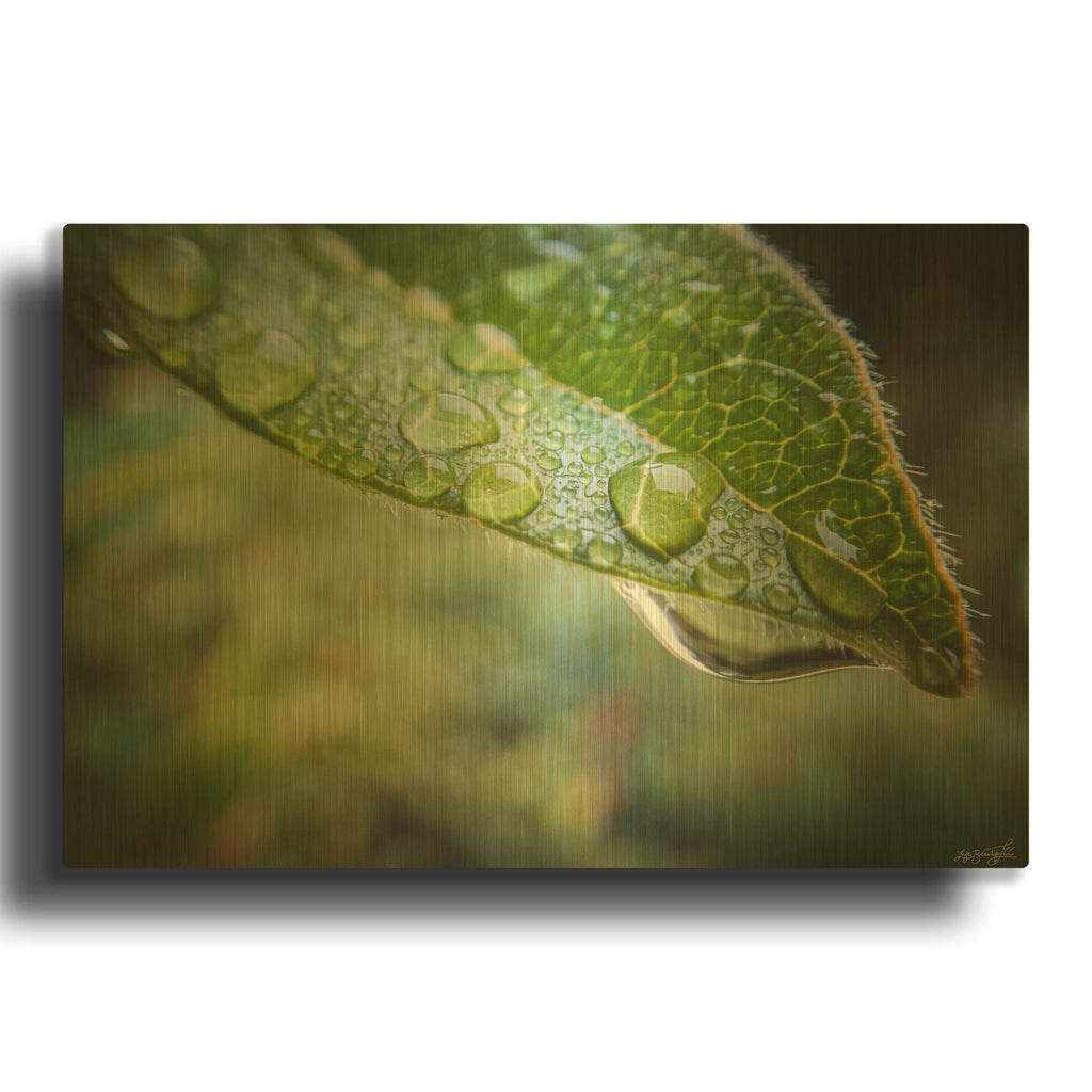 'Droplet of the Leaf 1' By Life BeautifuLEE Gold Metal Wall Art
