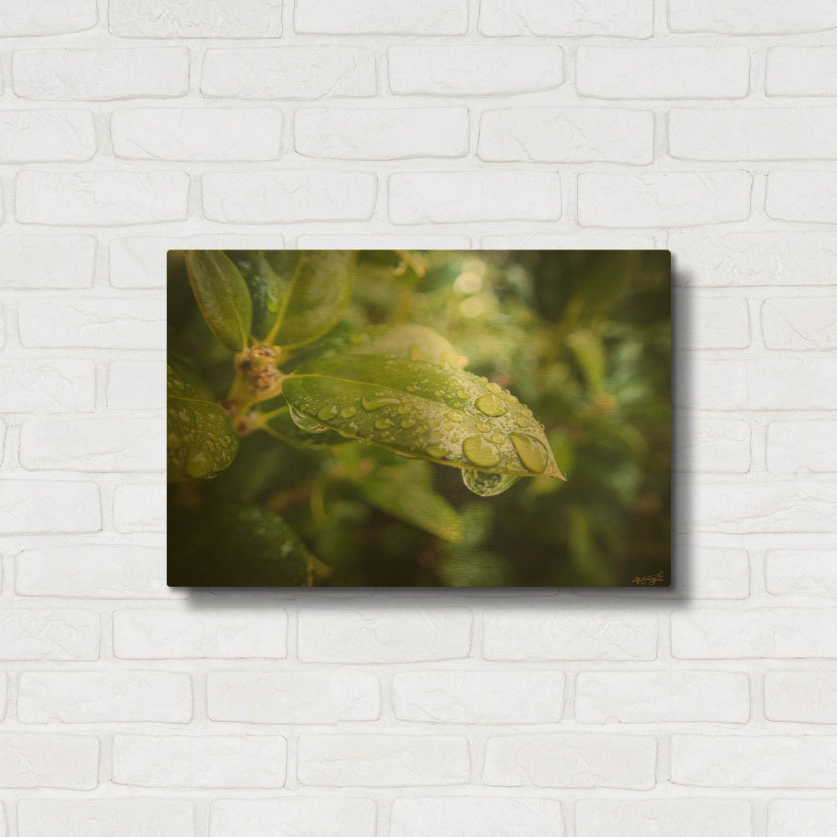'Droplet of the Leaf 5' By Life BeautifuLEE Gold Metal Wall Art