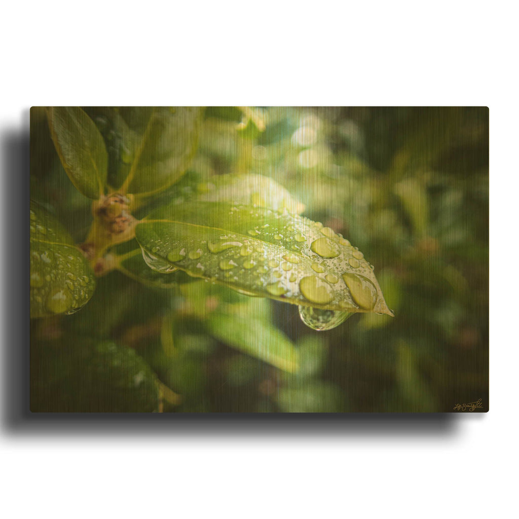 'Droplet of the Leaf 5' By Life BeautifuLEE Gold Metal Wall Art