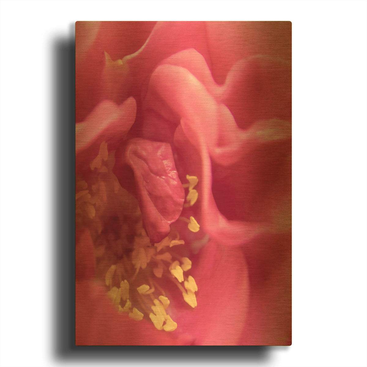 'Intimate Stare' By Life BeautifuLEE Gold Metal Wall Art