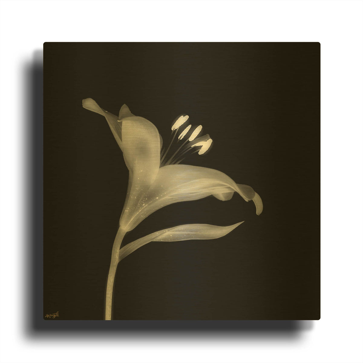 'Lily 2' By Life BeautifuLEE Gold Metal Wall Art