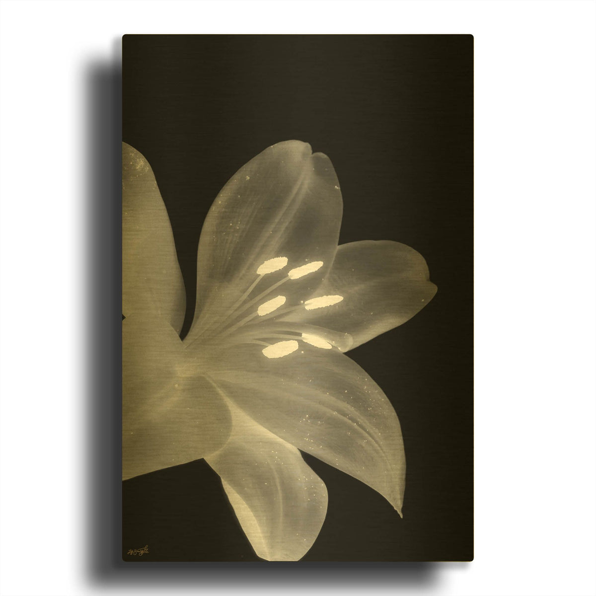 'Lily 3' By Life BeautifuLEE Gold Metal Wall Art