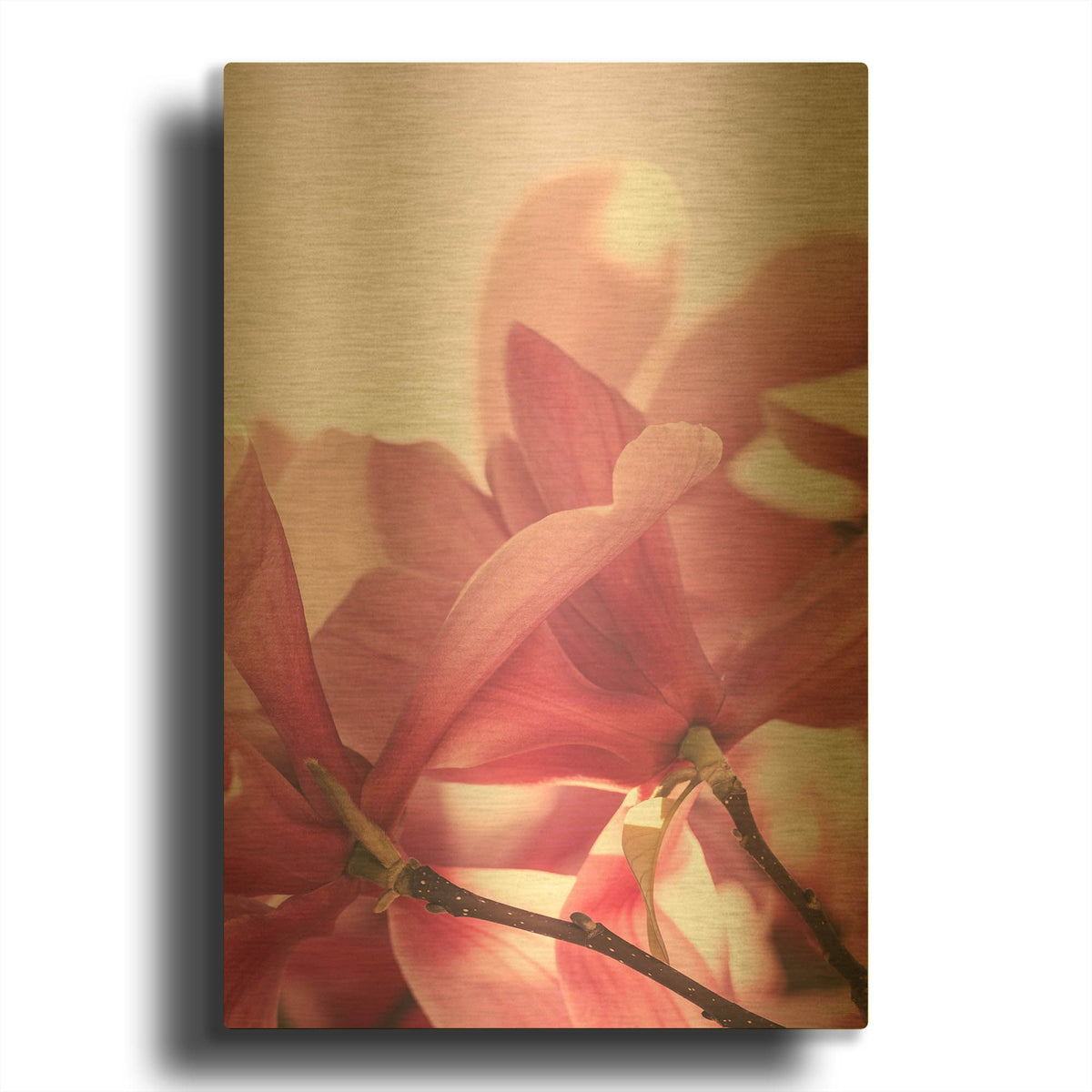 'Pink Spring Petals 1' By Life BeautifuLEE Gold Metal Wall Art