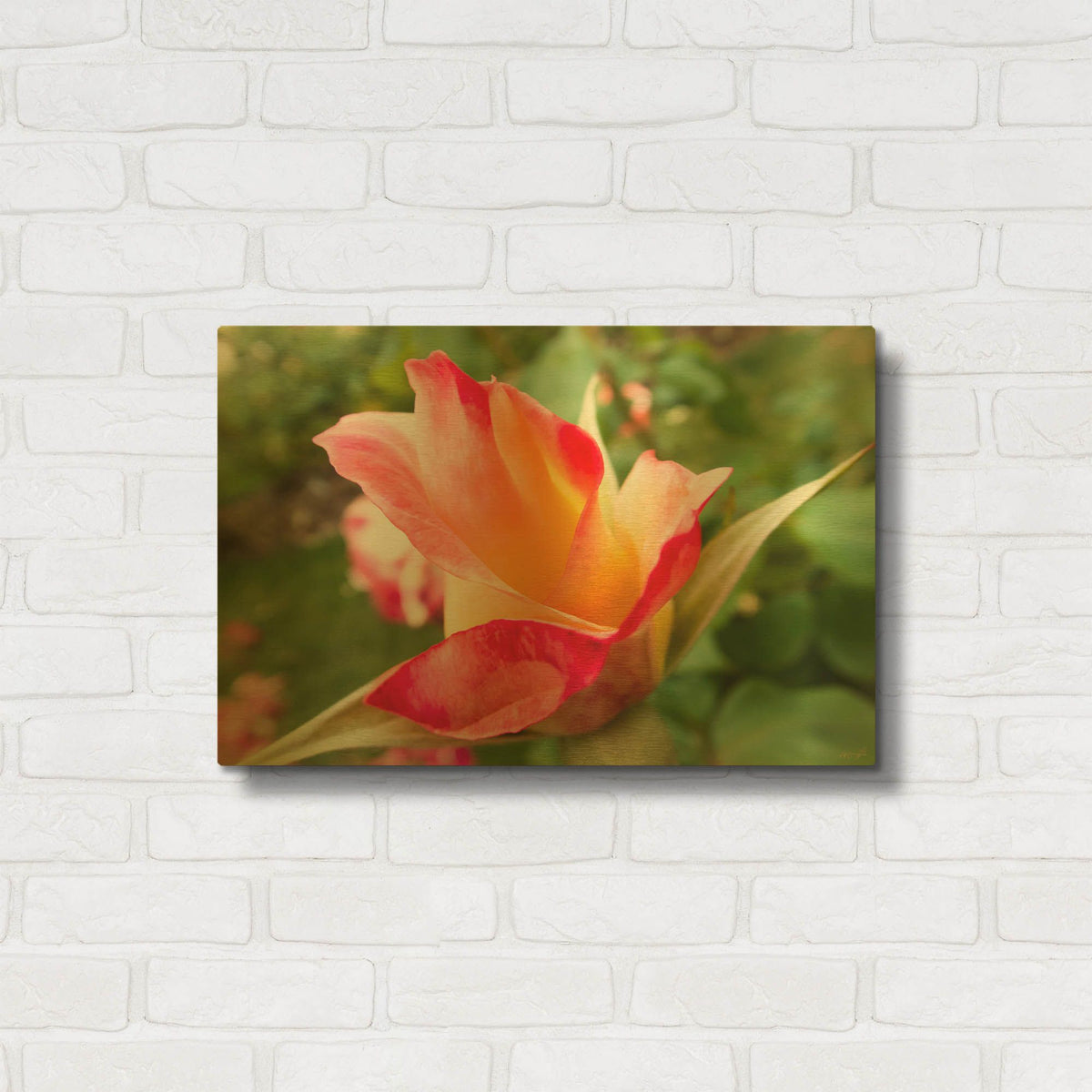 'Wild Rose' By Life BeautifuLEE Gold Metal Wall Art