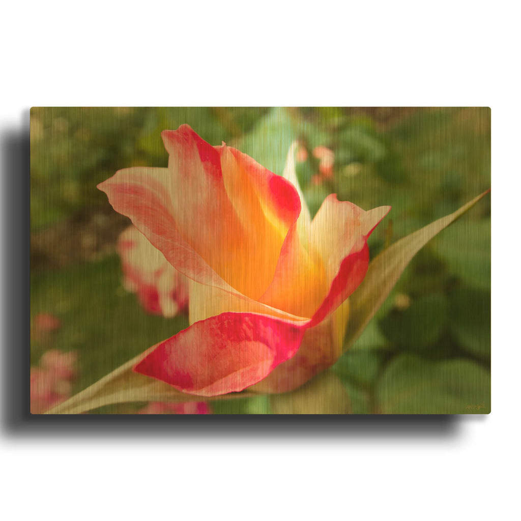 'Wild Rose' By Life BeautifuLEE Gold Metal Wall Art