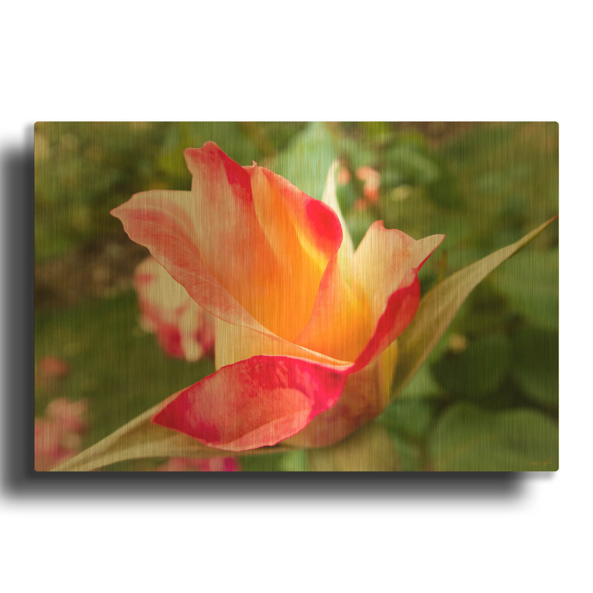 'Wild Rose' By Life BeautifuLEE Gold Metal Wall Art