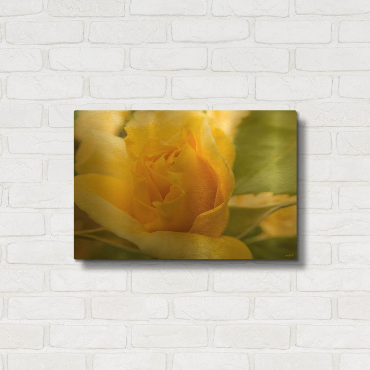'Yellow Cluster Rose' By Life BeautifuLEE Gold Metal Wall Art