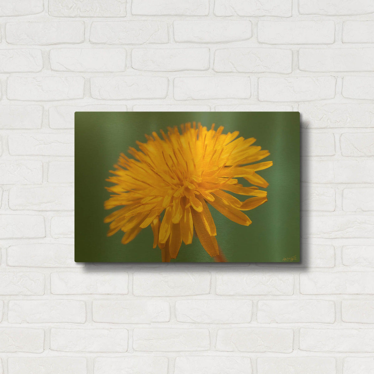 'Yellow Micro Sun Floral 1' By Life BeautifuLEE Gold Metal Wall Art