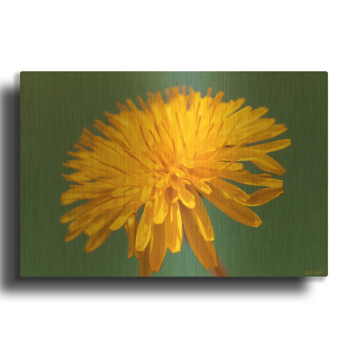 'Yellow Micro Sun Floral 1' By Life BeautifuLEE Gold Metal Wall Art