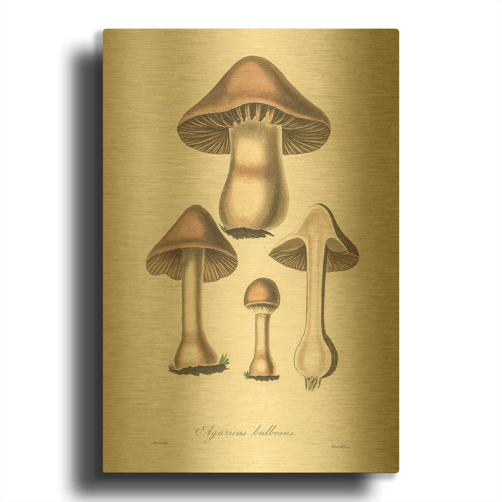 'Agaricus Bullosus' By Art Licensing Studio Gold Metal Wall Art