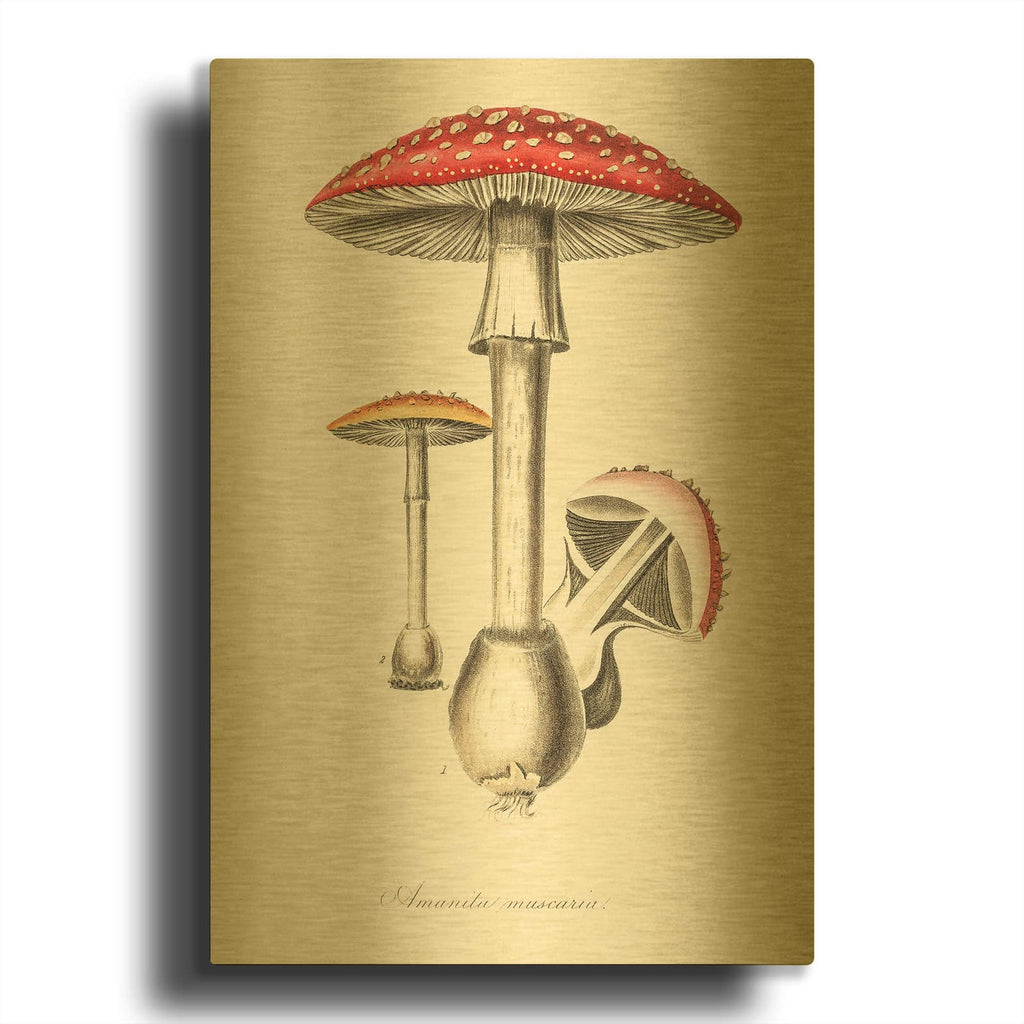 'Amanita Muscaria' By Art Licensing Studio Gold Metal Wall Art