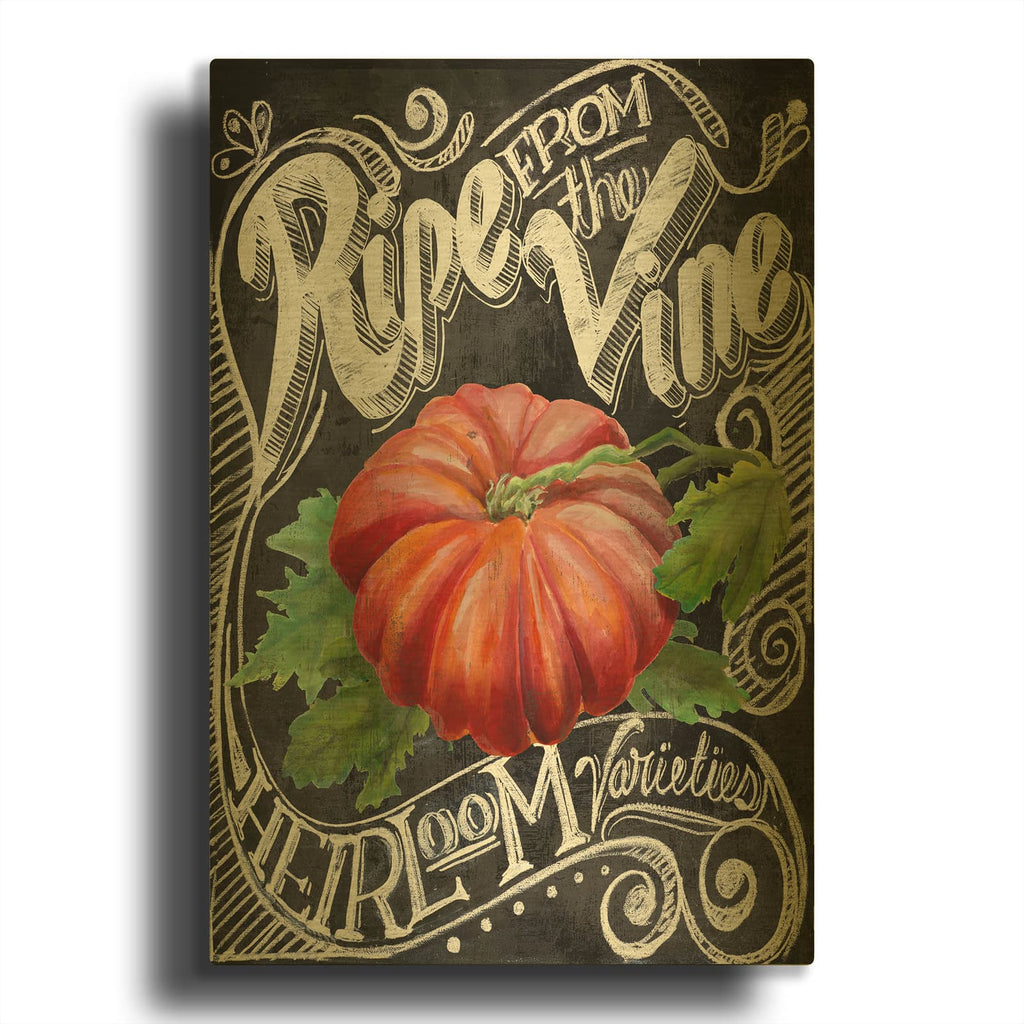 'Chalkboard Tomato' By Art Licensing Studio Gold Metal Wall Art
