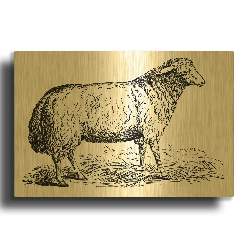 'Ewe' By Art Licensing Studio Gold Metal Wall Art