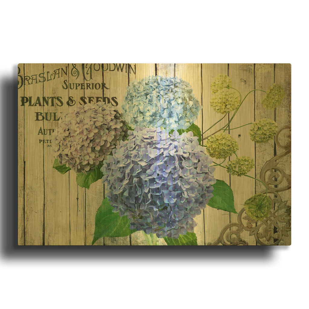 'Farm Seed Hydrangeas' By Art Licensing Studio Gold Metal Wall Art