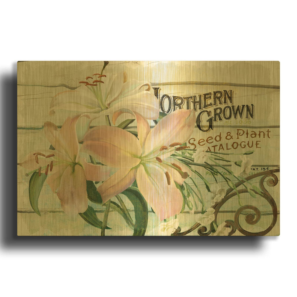 'Farm Seed Lilies' By Art Licensing Studio Gold Metal Wall Art