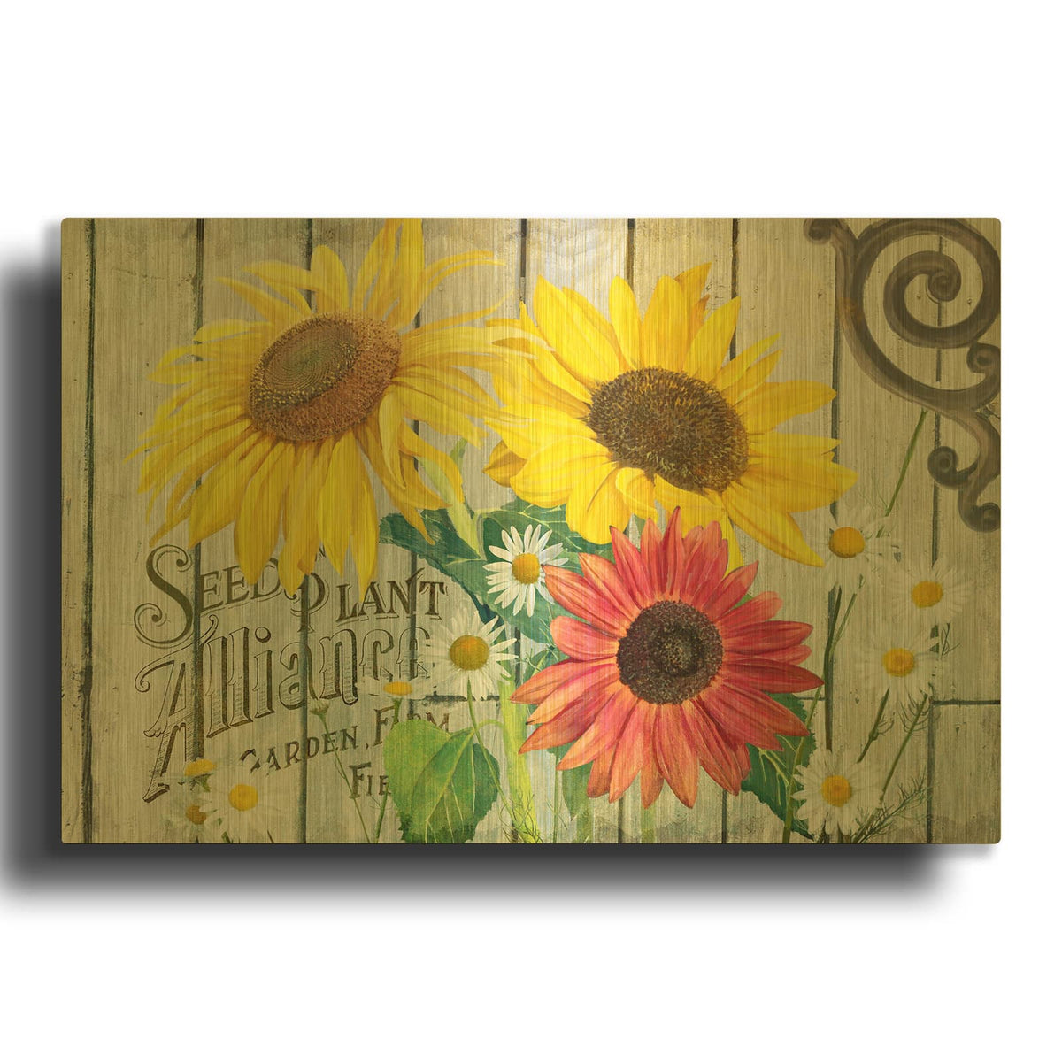 'Farm Seed Sunflowers' By Art Licensing Studio Gold Metal Wall Art